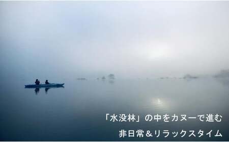 水没林カヌー［早朝プレミアム］（1名様分）- 体験 チケット 自然 カヤック 絶景 白川湖 フォトジェニック 癒し 湖 非日常 山形県 飯豊町