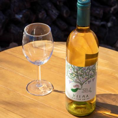 ふるさと納税 かすみがうら市 KLEMA 立花ブドウ園 巨峰 2025 白ワイン 750ml×1本 |  | 01