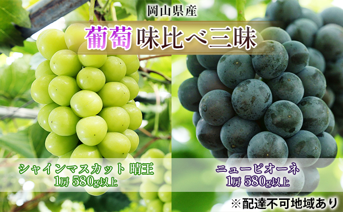 ぶどう 2026年 先行予約 葡萄 味比べ三昧 シャイン マスカット 晴王 1房 580g以上 ニュー ピオーネ 1房 580g以上（露地栽培）詰合せ ブドウ 葡萄  岡山県産 国産 フルーツ 果物 ギフト 