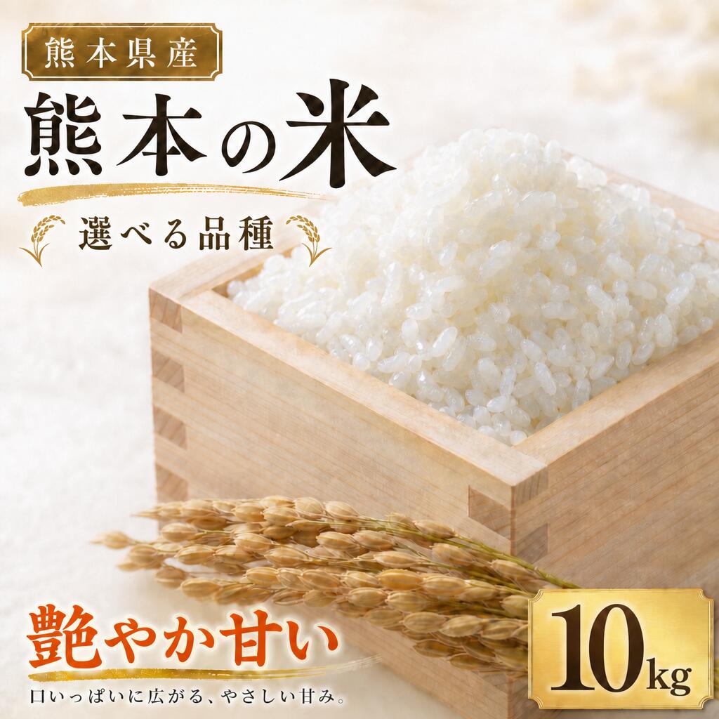 【ふるさと納税】＜選べる品種＞【令和7年産】米 計10kg（5kg×2袋） ひのひかり / 森のくまさん お米 米 こめ コメ 単一原料米 ヒノヒカリ ごはん ご飯 おにぎり お弁当 熊本県産 国産 九州 熊本県 送料無料