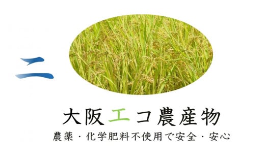 しあわせのれんげっ娘 5kg (精米)｜米 お米 ごはん ご飯 [1201]