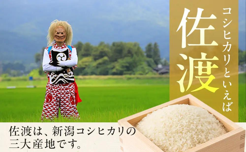 コシヒカリ 真空パック 900g×12袋セット 佐渡産 令和7年 | 新潟県 佐渡市 コシヒカリ