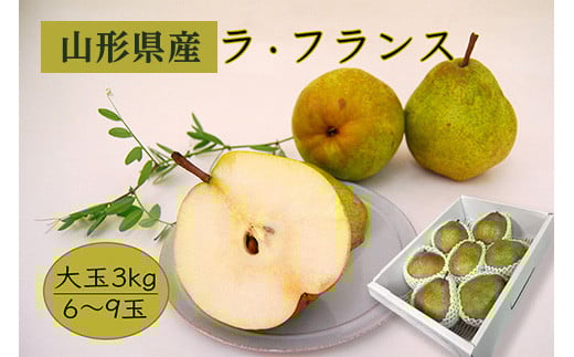 
            《先行予約 2025年度発送》【大玉】【山形県産】ラ・フランス3kg（6～9玉/4L～7L）  なし ナシ 梨 デザート フルーツ 果物 くだもの 果実 食品 山形県 FSY-0405
          