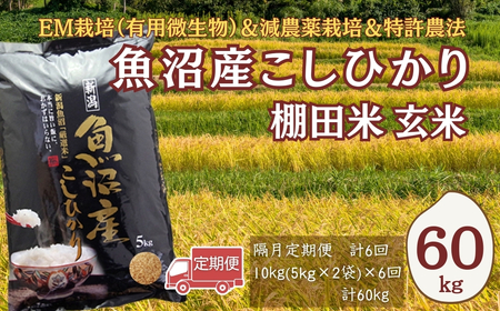 【令和8年 先行予約 定期便】魚沼産コシヒカリ棚田米 玄米 60kg (10キロ×6回) 佐藤農場|おこめ 玄米 小千谷 新潟