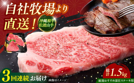 牛肉 ステーキ 【全3回定期便】【厳選！おすすめ部位】沖縄和牛 佐渡山牛 ステーキ肉 500g  BCBC005 牛肉