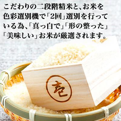 ふるさと納税 大仙市 【令和7年産】20kg(5kg×4袋)大手有名百貨店出荷米　あきたこまち |  | 03