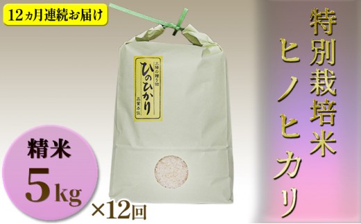 
                  【定期便】特別栽培米　精米　ヒノヒカリ　5kg×12回 お米 香り ツヤ 食感 うまみ 兵庫県認証食品取得 1等米 
                