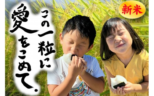 
                  【新米】【令和8年産】この一粒に愛をこめて【四代目田中の最高傑作品】玄米5kg【銘柄米 ブランド米 玄米 こしひかり コシヒカリ 魚沼産 新潟米 産地直送 お米 米 こめ コメ ご飯 御飯 ごはん】
                