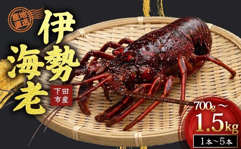 
                  冷凍 伊勢海老 活 選べる 容量 700g 1kg 1.5kg 下田産 伊勢エビ 海老 活き締め 国産 海老 えび 刺身 味噌汁 おつまみ バーベキュー BBQ おせち ギフト 贈答 プレゼント 伊豆 辻水産 下田市 静岡県
                