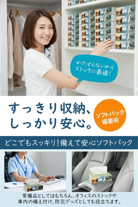 【令和8年4月～出荷】ティッシュペーパー ピュアパルプ ソフトパックティッシュ 60パック×400枚 200組 柔らか コンパクト 日用品 必需品 まとめ買い 常備品 備蓄 防災グッズ 熊本県 小国町