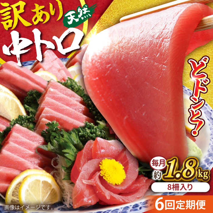 【ふるさと納税】【全6回定期便】【訳あり】天然 まぐろ 中トロ メバチ 計約1.8kg (8柵入り) マグロ 定期 鮪 まぐろ 中とろ 刺身 定期便 横須賀 規格外 【本まぐろ直売所】[AKAK054]