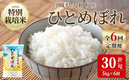 【令和8年産】＜6か月定期便＞特別栽培米 ひとめぼれ 5kg×6回(合計30kg) お米 おこめ 米 コメ 白米 ご飯 ごはん おにぎり お弁当 頒布会【農事組合法人若木の里】ta541