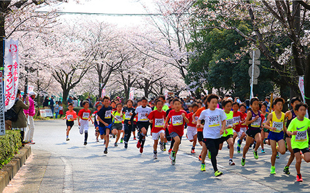 第33回幸手市さくらマラソン大会出走権（駐車券付）（種目：10km） - チケット 券 スポーツ 運動  参加 