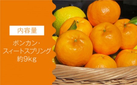 【数量限定】ポンカン&スィートスプリング 食べ比べセット 約9kg【長崎ぶんたんの会】 [OAF009] / 柑橘みかん柑橘みかん柑橘みかん柑橘みかん柑橘みかん柑橘みかん