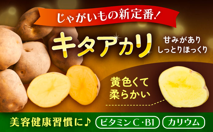 北海道産 じゃがいも きたあかり 10kg（LM混合）《足寄町》【党崎農場】ジャガイモ じゃがいも 国産 野菜 ポテト 芋 イモ いも 肉じゃが カレー キタアカリ きたあかり 道産 寒冷地 あしょろ
