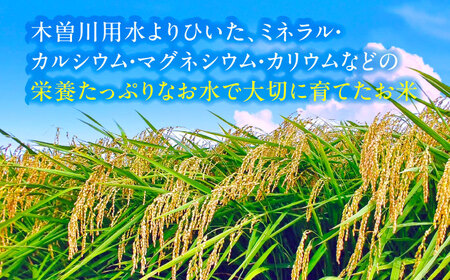 【3回定期便】 【1月発送開始】 あいちのかおり 白米 10kg×3ヵ月 愛西市 / 脇野コンバイン お米 ご飯 精米 先行予約 [AECP007-1]