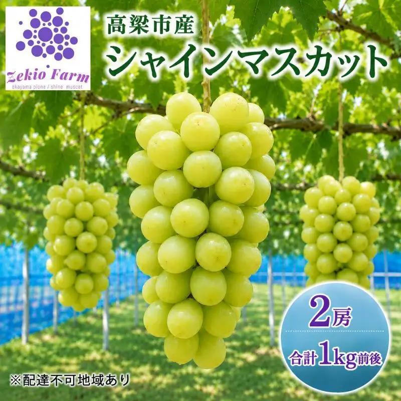 シャインマスカット ぜきお農園 岡山県産 シャインマスカット【2房 約1kg】【先行予約】