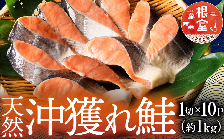 根室海鮮市場＜直送＞天然沖獲れ鮭1切×10P(約1kg) B-28060