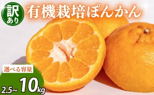 
                  【訳あり】【先行予約】ぽんかん 2.5kg 5kg 10kg｜高知県産 有機栽培 訳あり ご家庭用｜絶妙な甘みと酸味｜特産品 生産者直送 国産 ミカン みかん mikan 蜜柑 柑橘 果物 フルーツ 送料無料 高知県 須崎市
                