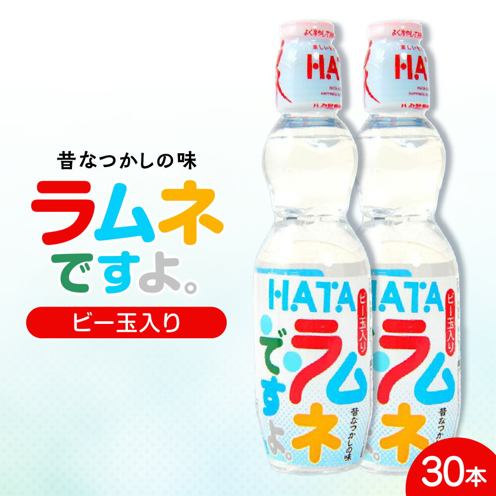 【ふるさと納税】ラムネ 生産量日本一！ラムネですよ。(ビー玉入りペット) ハタ鉱泉 ビー玉入り ペットボトル 懐かしい 爽やか 甘さ 割り材 アレンジドリンク リサイクル対応 世界95カ国以上 輸出実績 贈り物 ご褒美 大阪市 大阪府 送料無料