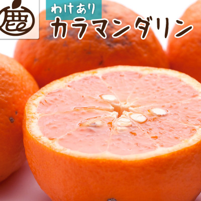 家庭用 カラマンダリン5kg+250g(傷み補償分)【南津海・なつみ】【希少な春柑橘】【訳あり】【配送不可地域：離島・北海道・沖縄】【1356090】