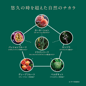 フェイスマスク 50枚 保湿 日本製 フェイスマスク