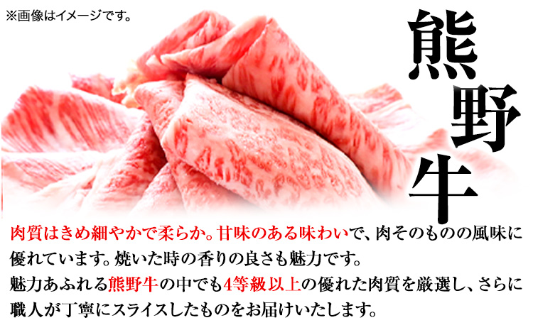 熊野牛 A4 以上 ヒレシャトーブリアン ステーキ 200g 霜降り ロース スライス 200g 株式会社魚鶴商店《30日以内に出荷予定(土日祝除く)》 和歌山県 日高町 熊野牛 黒毛和牛 A4等級以