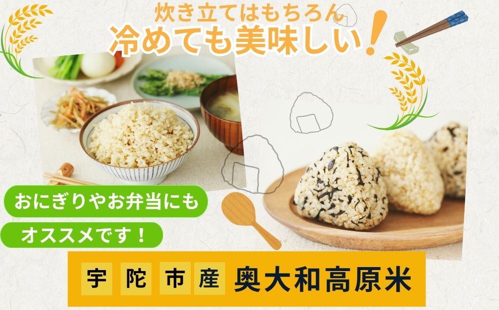 【定期便6回】特別栽培米 ＜令和7年産 白米 8.5kg＞ / ふるさと納税 栽培期間中農薬不使用 米 お米 こめ コメ 国産 新米 玄米 農家やまおか 奈良県 宇陀市
