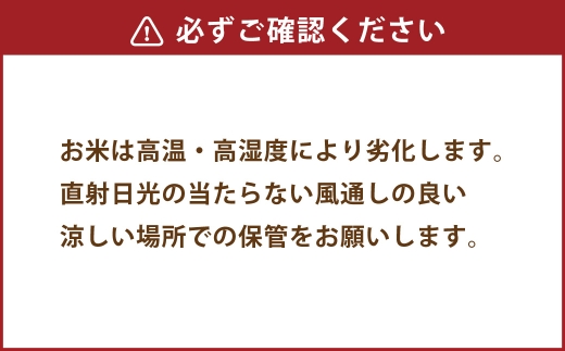 【 令和7年度産 】 熊本県産塩栽培米ヒノヒカリ 5kg 国産 熊本県産 お米 米 コメ ご飯 白米 ヒノヒカリ 塩栽培米 塩栽培 【 2025年12月上旬発送開始 】