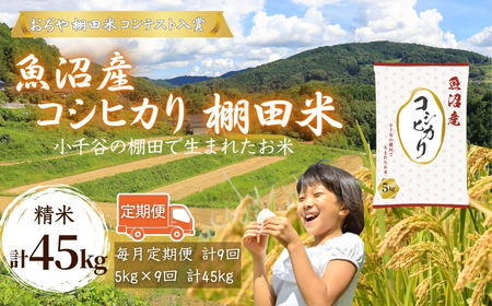 【 令和7年産 定期便 】 魚沼産コシヒカリ 5kg×9回（計45kg） 毎月発送 棚田コンテスト入賞者