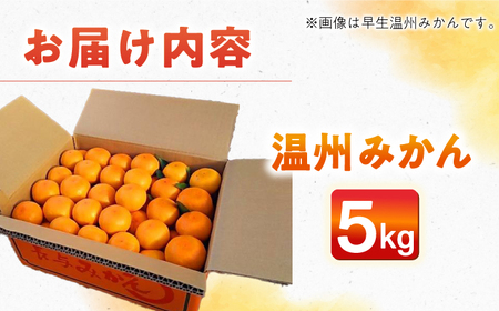 【自然の力を活かした栽培】温州みかん（普通） 5kg -2025年12月下旬より発送- 農事組合法人希望種（きぼうのたね）[ECQ005]  みかん ミカン 柑橘 温州みかん 果物 くだもの フルーツ