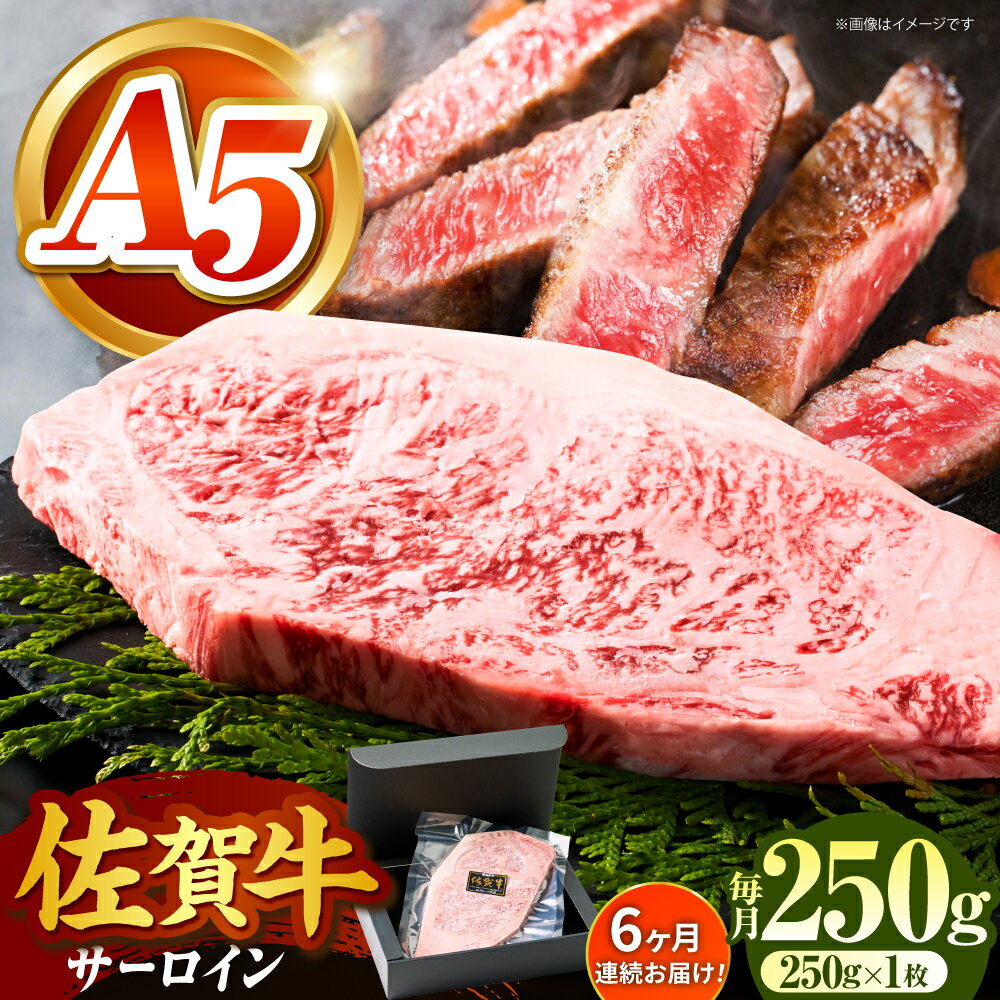 【ふるさと納税】【全国有数のブランド牛】＜全6回定期便＞佐賀牛サーロインステーキ 250g【がばいフーズ】[HCS054] / A5ランク 黒毛和牛 牛肉 佐賀県 江北町 国産牛 国産 ステーキ 焼肉 BBQ サーロイン ロース 冷凍 冷凍発送 冷凍配送 送料無料 定期便 90000 90000円
