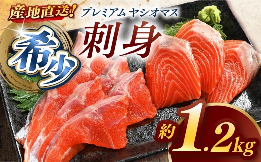 産地直送栃木県のブランド魚「プレミアムヤシオマス」の刺身 1,200g (200g×6パック)   [ 冷凍便 ] | 魚 ます 養殖 産地直送 栃木県