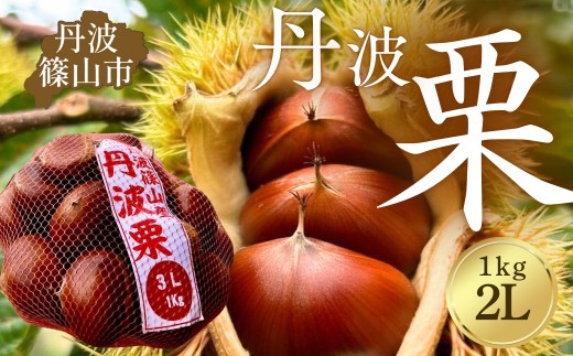 〈品評会受賞〉丹波栗 2L 1kg 【低温追熟】安心安全 レシピ付き クリ くり 栗ご飯 栗きんとん 兵庫県丹波篠山市