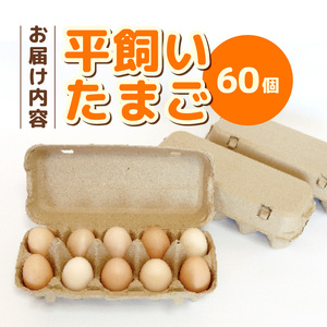【定期便12回】 平飼い卵 60個入り | たまご 玉子 生卵 たまごかけご飯 国産たまご こだわりたまご 南国たまご