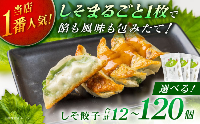 
            【選べる容量】 餃子屋さんのしそ餃子 12個 ～ 120個 【餃子屋ヒロ】国産 肉 餃子 ぎょうざ ギョーザ ギョウザ 小分け 人気 餃子 おすすめ 餃子 冷凍 おかず おつまみ 名店 ご当地グルメ 神奈川県 開成町  [BDAS003]
          