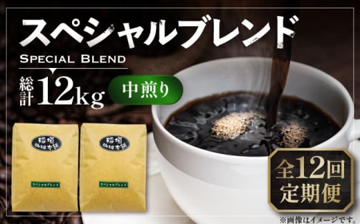 【粉でお届け】【全12回定期便】スペシャル ブレンド コーヒー 500g×2 ( 中煎り ) 《豊前市》【稲垣珈琲】 珈琲 コーヒー 豆 粉 [VAS175]