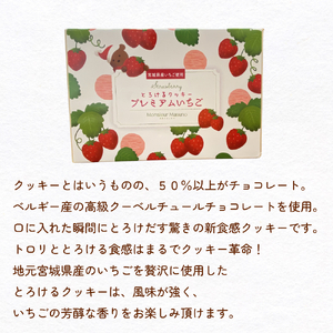 ムッシュ アルパジョン 新食感！とろけるクッキー  プレミアム いちご 2枚入り6袋入合計12枚 ベルギー産 チョコレート 使用