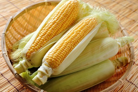 【2026年発送先行予約】山梨県産ゴールドラッシュ2Lサイズ×10本セット SWBS002