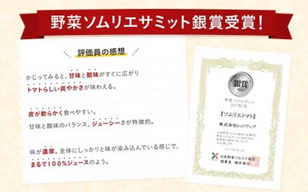 大玉 訳あり ソムリエトマト 約 6kg ～ 10kg (約3kg～5kg × 2箱)