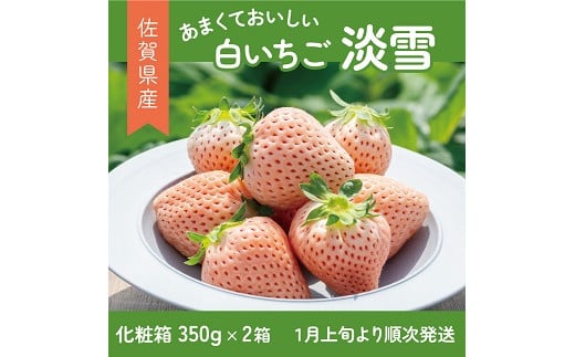 
            【先行予約】希少価値 佐賀県産 いちご 淡雪 （化粧箱×2箱） フルーツ 果物 旬 苺 白いちご 350g×2P 贈答 化粧箱 ギフト プレゼント 九州 佐賀県 佐賀市 清瀬農園  ：B190-026
          