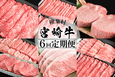 【定期便 6回】受賞歴多数!! 宮崎牛を6ヶ月で合計4.9キロ 宮崎牛づくし【送料無料 宮崎県 椎葉村 秘境 国産 宮崎県産 ブランド牛 牛肉 牛 和牛 肉 肩ロース うで ヒレ もも ばら ステーキ すき焼き しゃぶしゃぶ 焼肉 BBQ 牛丼 うまい 美味しい おすすめ おかず 多用途 ギフト 贈り物 プレゼント 祝い パーティー 誕生日 記念日 お土産 敬老 お中元 お歳暮】【MT-39】