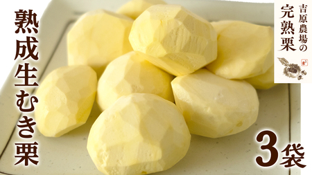 【12/14入金確認分まで年内配送】【 吉原農場 の 完熟栗 】 熟成 生むき栗 3袋 ( 120g × 3袋 ) [CX019ci]