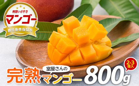 【2026年発送】完熟 指宿産 マンゴー 約800g 前後 2～3個入 中園久太郎商店 016-1758 マンゴー フルーツ 果物