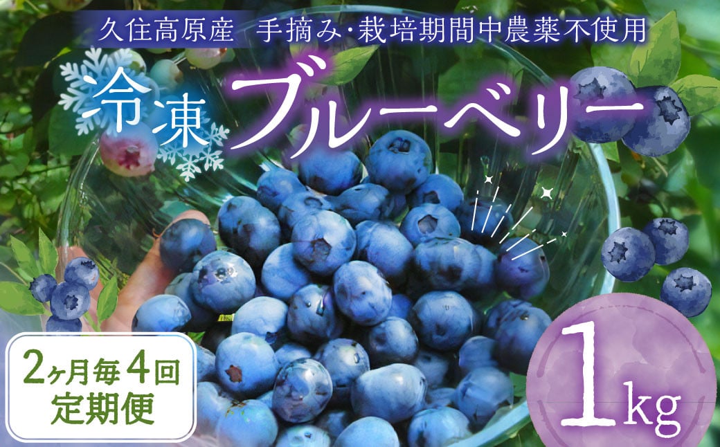 【2ヶ月毎4回 定期便】大分県久住高原産 『手摘みブルーベリー』 冷凍ブルーベリー 1kg 計4kg 【2025年7月下旬より順次発送開始予定】