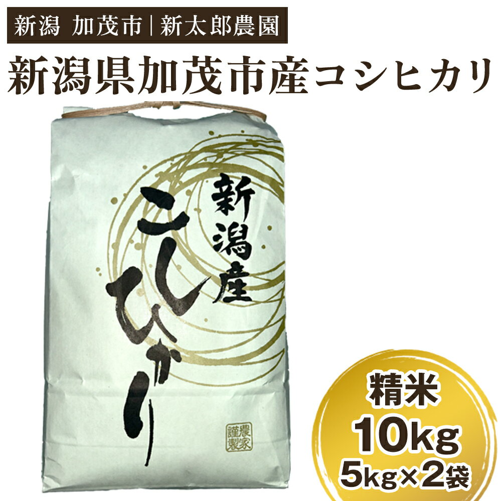 【ふるさと納税】【令和7年産新米】新潟産コシヒカリ 精米 10kg（5kg×2袋）《順次発送》 コシヒカリ 新潟産 米 お米 白米 有機肥料で育ったこだわり米 加茂市 新太郎農園