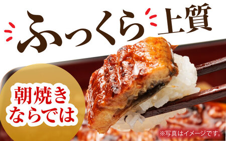 高知県産　朝焼きうなぎ蒲焼　2尾セット