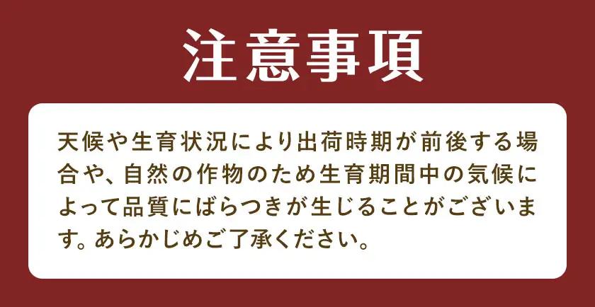 十勝産 秋の味覚 野菜 詰め合わせ 南瓜 玉ねぎ じゃがいも セット 計8kg 工房みみずく 北海道 豊頃町