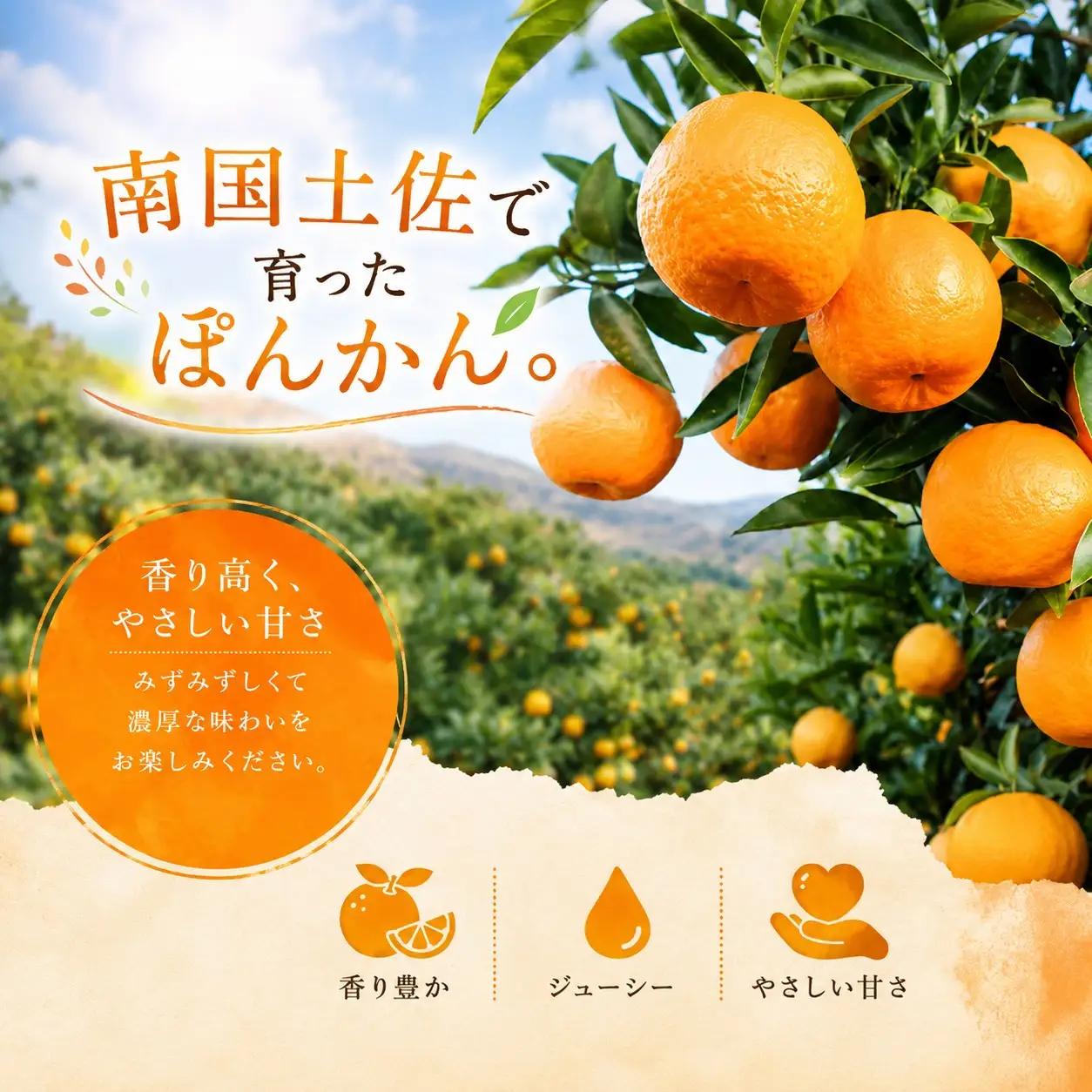 家庭用ポンカン高知県産 ポンカン 5kg