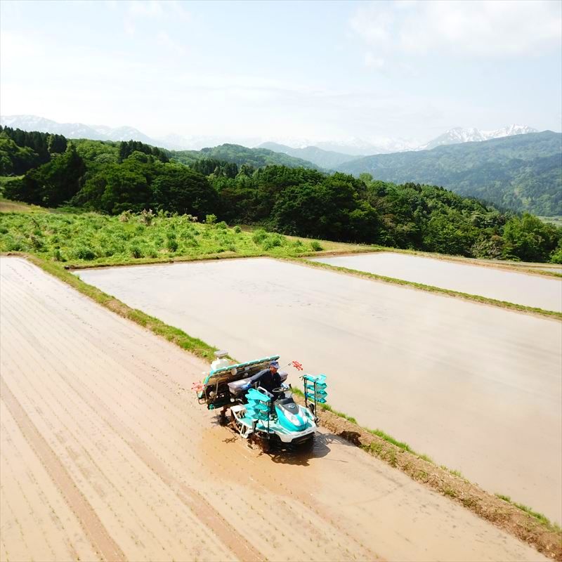 令和7年産 先行予約 新潟県上越市名立区産 コシヒカリ 棚田米 「灘立銀嶺米 光」  5kg 3か月定期便 上越市 精米 米 コメ ブランド米